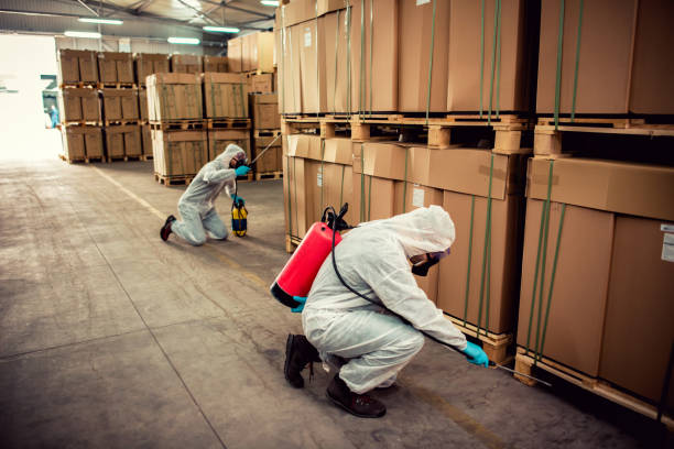 Best Exterminator Services  in White Sulphur Springs, MT