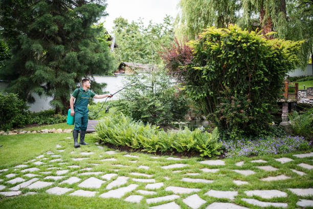 Best Wildlife Control Services  in White Sulphur Springs, MT