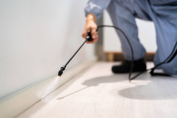 Best Mosquito Control Services  in White Sulphur Springs, MT