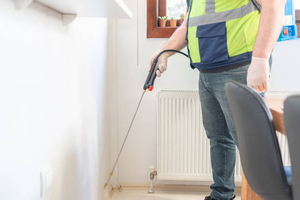 Best Wasp Removal Services  in White Sulphur Springs, MT