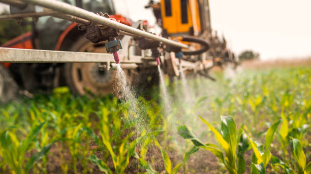 Best Commercial Pest Control Services  in White Sulphur Springs, MT